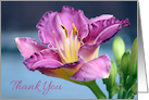 Magenta Lily Flower Thank You card