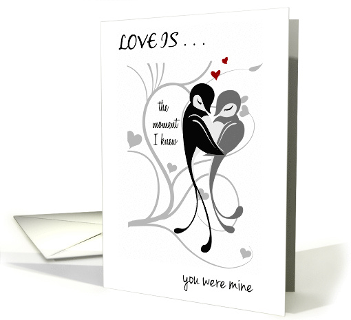 Wedding Anniversary Love Birds 'The moment I knew' card (1032653)
