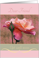 Dear Friend Get well soon Roses card