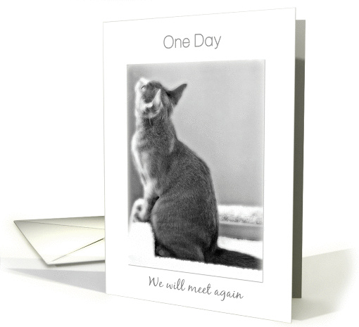 One Day We'll meet again Cat Sympathy card (1070205)