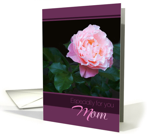 Especially for you Mom Pink Rose Birthday card (1115112)
