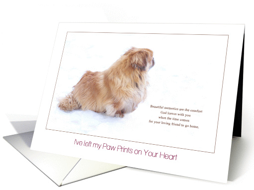 Beautiful Memories Pekingese Dog Sympathy card (1218690)