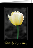 Yellow tulip painted...