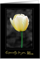 Yellow tulip painted b&w For Mom Mother’s Day card