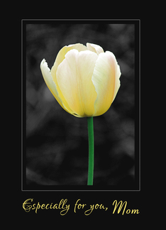 Yellow tulip painted...