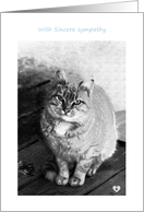When I see your smile in heaven CAT Sympathy card
