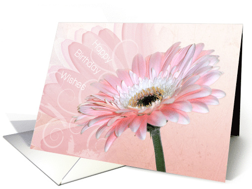 Birthday Wishes For Her Pink Gerbera Daisy Flower card (1369664)