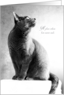 The Light of Heaven cat sympathy card