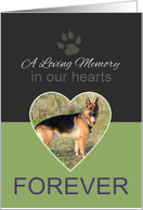 In Our Hearts Forever DOG Loss Announcement Photo card
