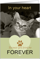 Because you loved me CAT sympathy photo card