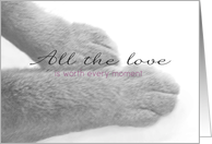 PAWS All the Love Cat Sympathy card