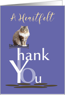 Cat Tree Kitty Thank You for Your Donation card