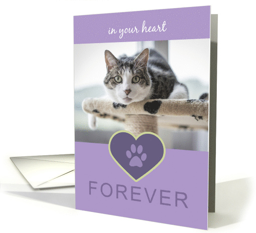In Your Heart Forever CAT Paw Print Pet Sympathy Lavender Photo card