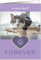 In Your Heart Forever CAT Paw Print Pet Sympathy Lavender Photo Card