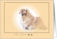 Pekingese Heaven Dog...