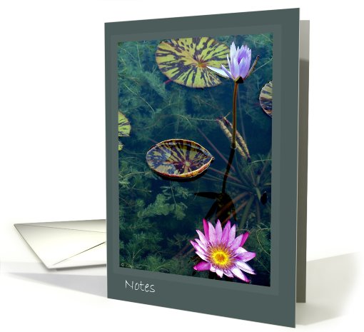 Water Lilly Notes card (456664)