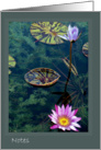 Water Lilly Notes card