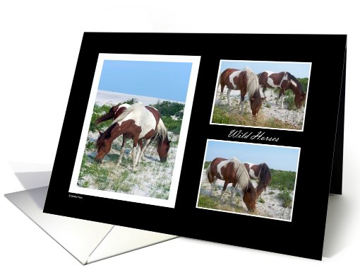 Wild Horses Note card (457097)