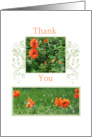 Poppies Thank You card