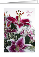 Thank You Pink Lillies card