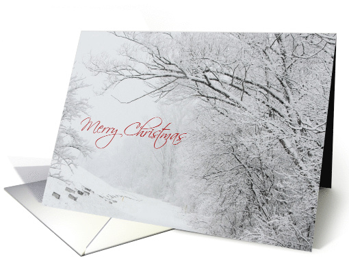 A Merry White Christmas card (525965)