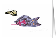 kitten with yarn ball and butterfly card