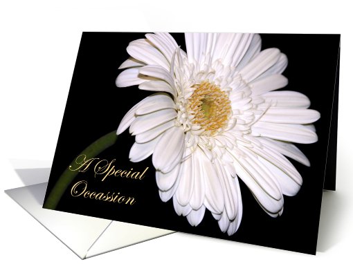 Special Occassion Invitation card (551075)