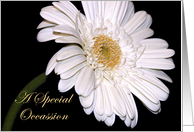 Special Occassion Invitation card