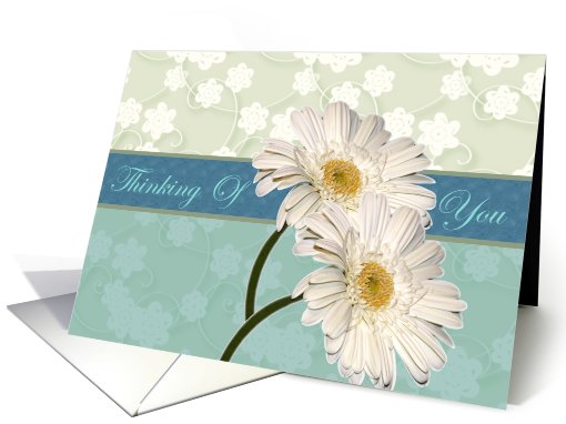 Thinking Of You Daisies card (551145)