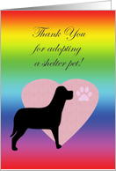 Shelter dog adoption Thank You card