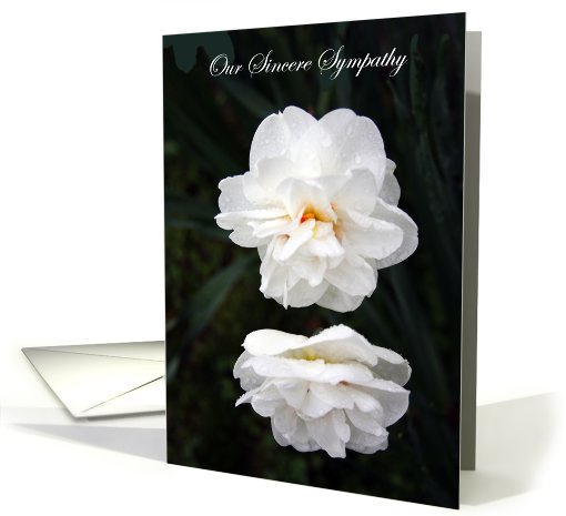 Our Sincere Sympathy card (620512)