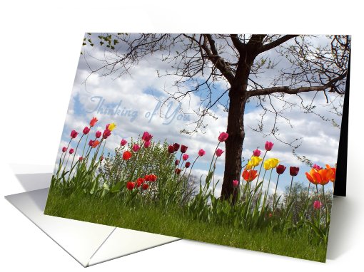 Spring Tulips Thinking of You card (628343)