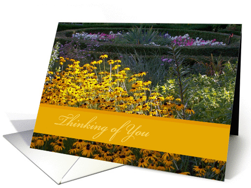 Garden Flowers/Thinking of You card (633220)