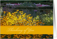 Garden Flowers/Thinking of You card