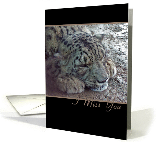 Miss You, Snow Leopard card (633277)