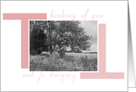 Pink Thinking of you, b&w landscape card