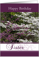 ’BirthdaySister’, Flower Trees card
