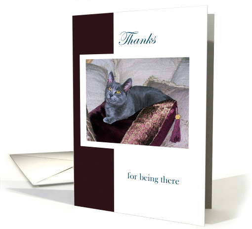 Gray Kitten 'Thanks for being there' card (640415)