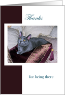 Gray Kitten ’Thanks for being there’ card