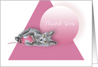 Playful Kitten Thank You card