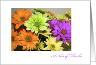 Colorful Daisy Thank You card