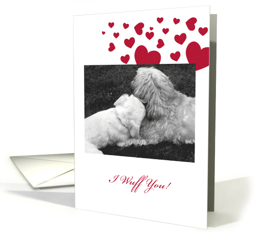 PUPPY LOVE Valentine card (771938)