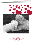 PUPPY LOVE Valentine card