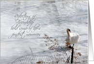 Winter Swan Reflections of Friendship Note Card