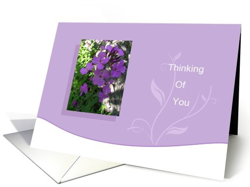 Purple wild flowers Thinking of you card (787793)