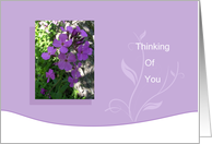 Purple wild flowers Thinking of you card