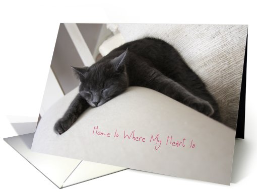 Kitten Snooz Home Is Where My Heart Is, I Miss You card (811241)