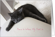 Kitten Snooz Home Is Where My Heart Is, I Miss You card