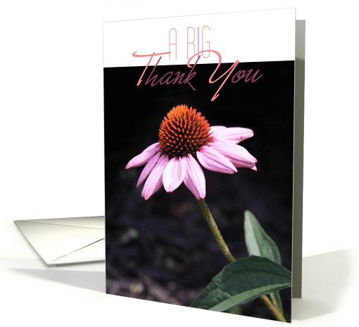 A Big Thank You card (868600)