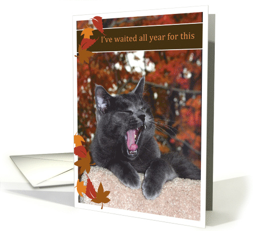 Too much turkey gray cat Happy Thanksgiving card (980333)